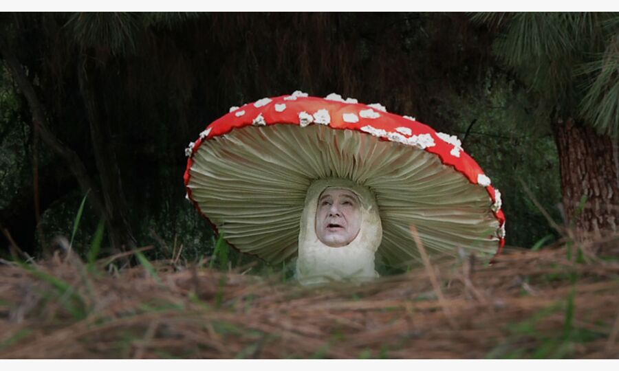 Watch My Entire Archive of Films