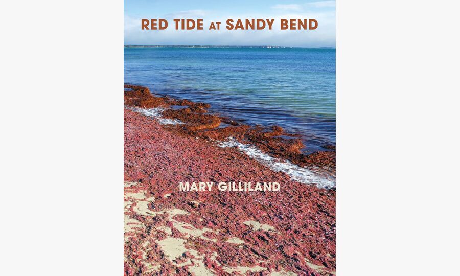 New Poetry: Red Tide at Sandy Bend