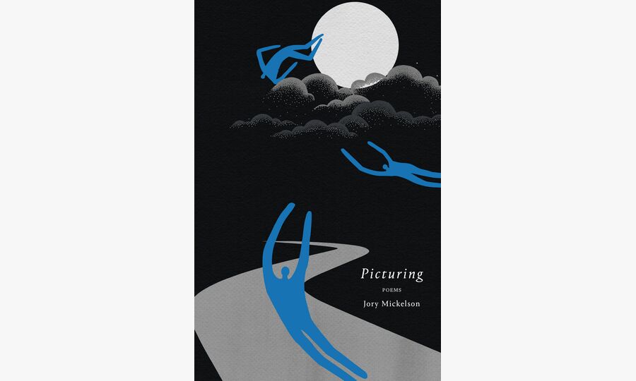 Publication of new book Picturing