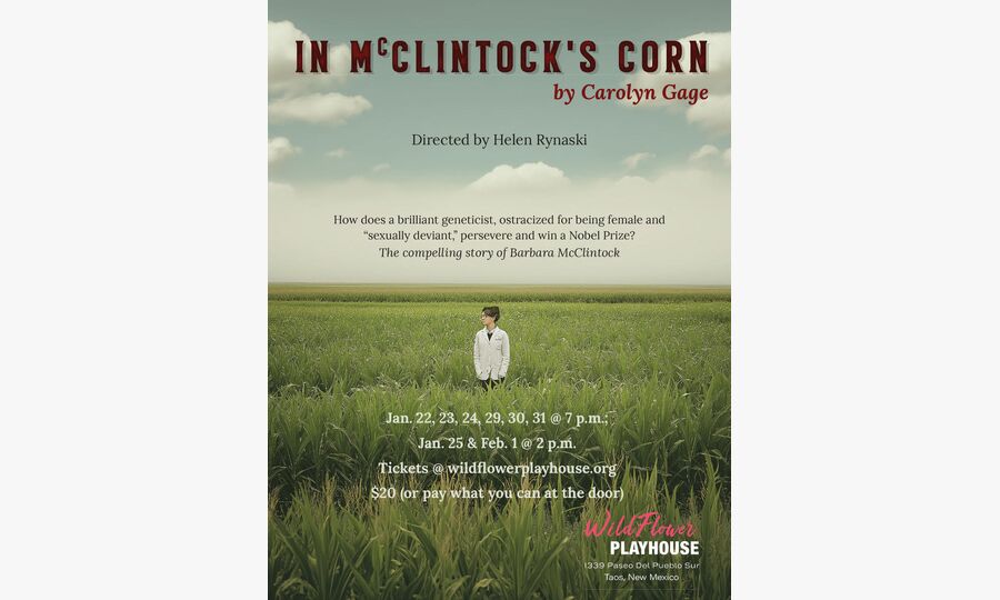 Coming to a Theatre in Taos