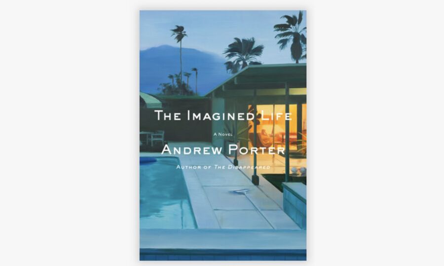 New novel, The Imagined Life